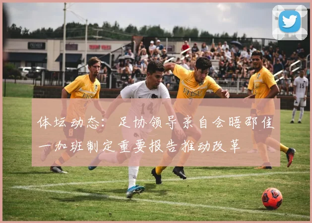 体坛动态：足协领导亲自会晤邵佳一加班制定重要报告推动改革